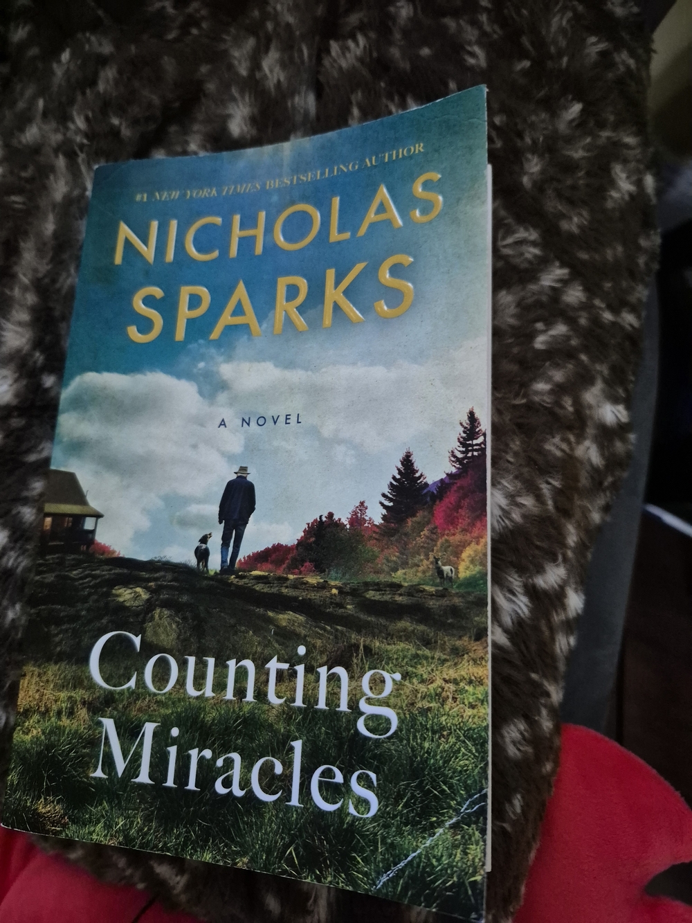 Nicholas Sparks Book